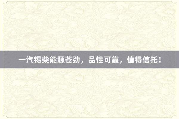 一汽锡柴能源苍劲，品性可靠，值得信托！