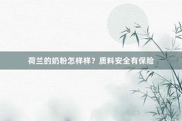 荷兰的奶粉怎样样？质料安全有保险