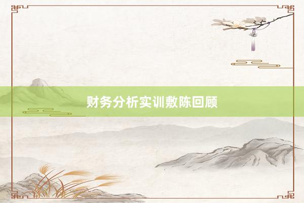财务分析实训敷陈回顾
