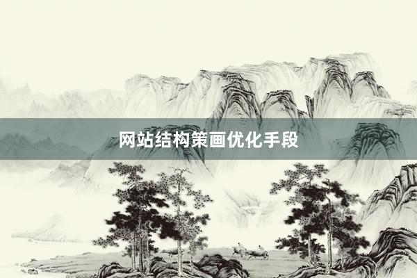 网站结构策画优化手段