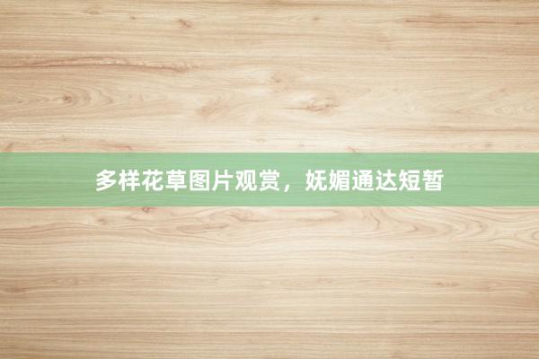 多样花草图片观赏，妩媚通达短暂